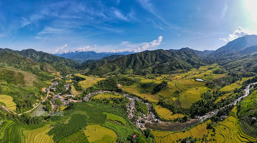 Dần Thàng mùa lúa chín