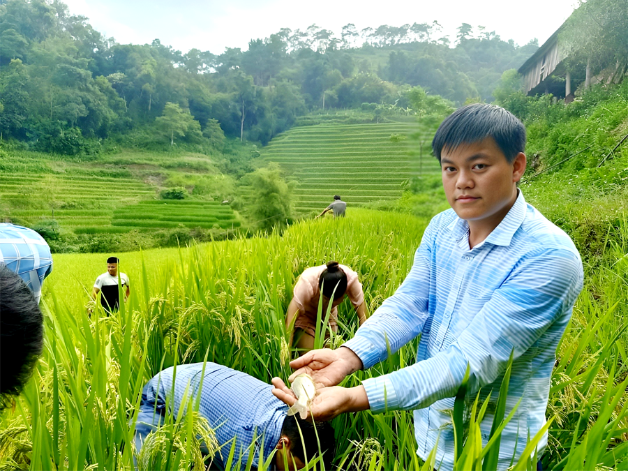 Sắc màu “Qua những miền di sản ruộng bậc thang” Hoàng Su Phì năm 2022