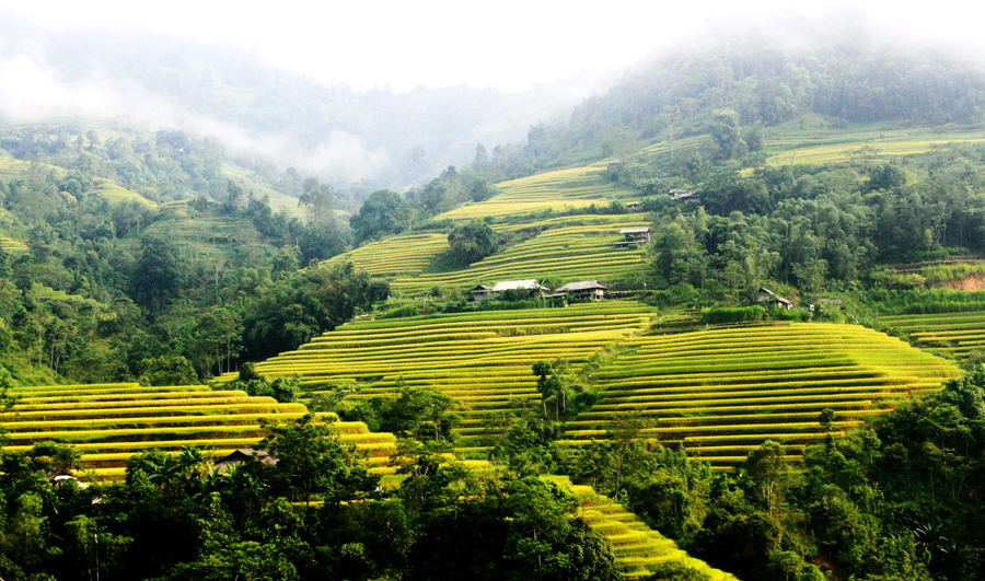 Sắc màu “Qua những miền di sản ruộng bậc thang” Hoàng Su Phì năm 2022