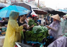 Người dân Hà Nội đi chợ "chạy bão"