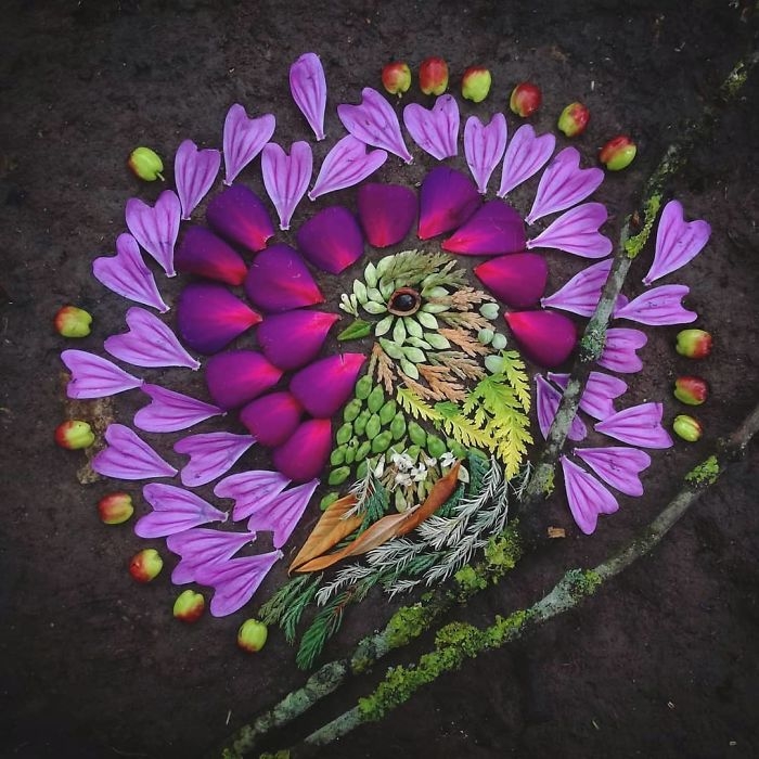 Thế giới loài chim sống động từ hoa lá