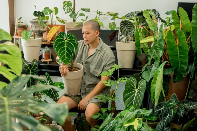 Chàng trai Sài Gòn chi 300 triệu đồng trang trí nhà bằng 50 loại cây độc lạ - 10