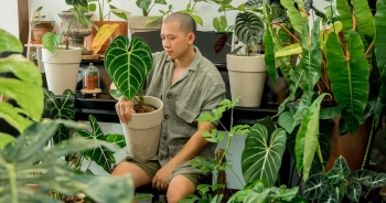 Chàng trai Sài Gòn chi 300 triệu đồng trang trí nhà bằng 50 loại cây độc lạ