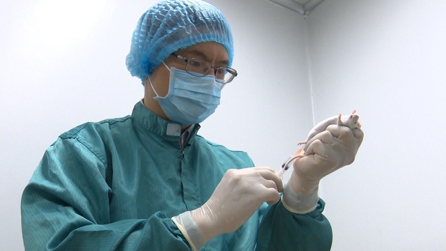 Vắc xin Covid-19 made in Vietnam được thử nghiệm trên khỉ - 2