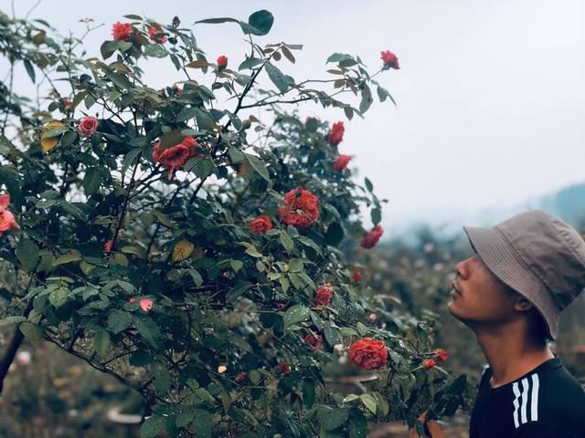 Khu vườn 2.000m2 với hơn 100 loại hoa hồng đẹp như cổ tích của 9X Đồng Nai - 1