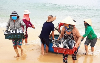 Cà Mau: Ngư dân cần trợ lực để bám biển