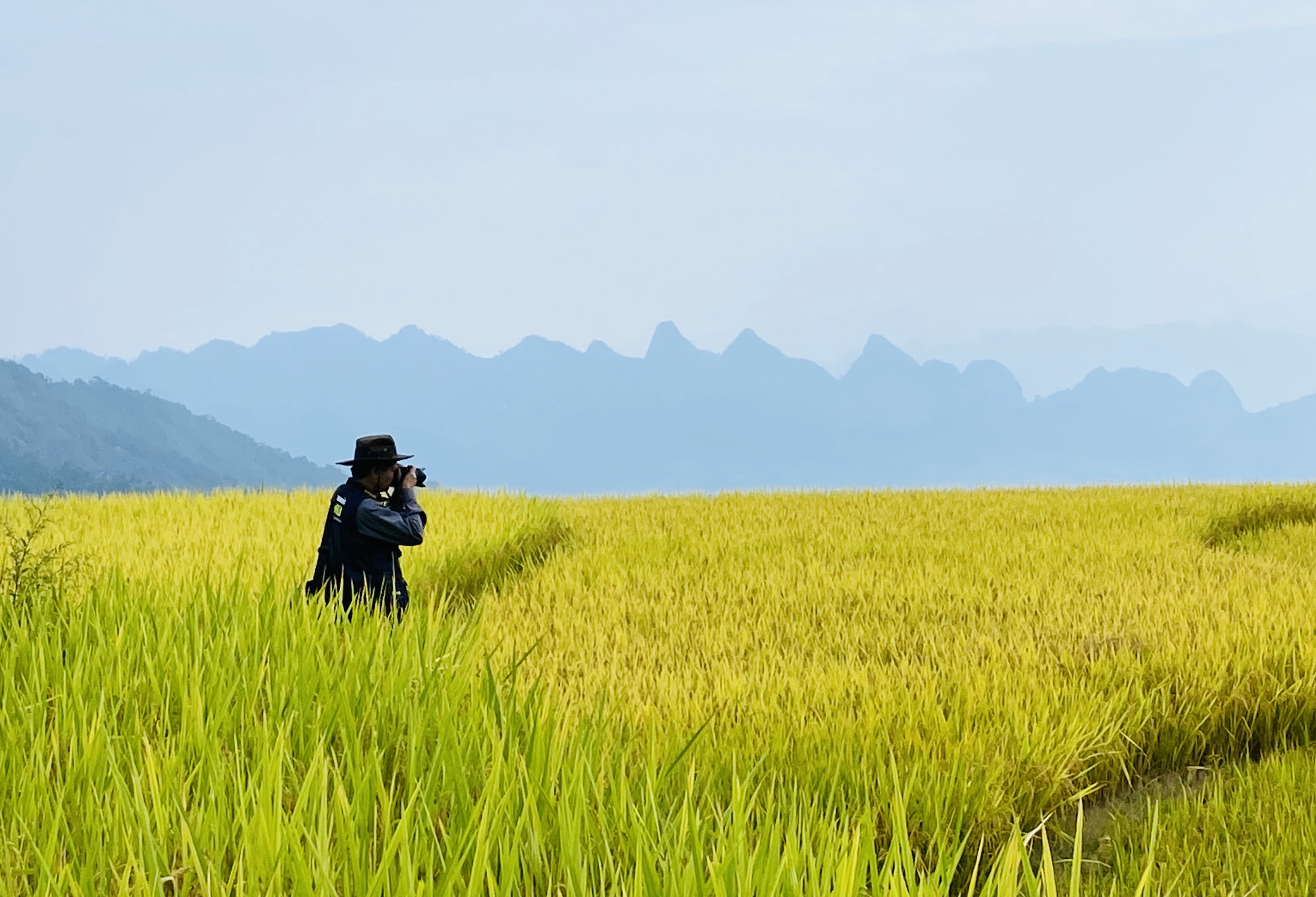 Hà Giang: Xà Phìn thu hút khách du lịch trong “mùa vàng”