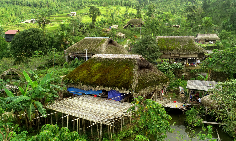 Những ngôi nhà phủ rêu xanh ở Xà Phìn