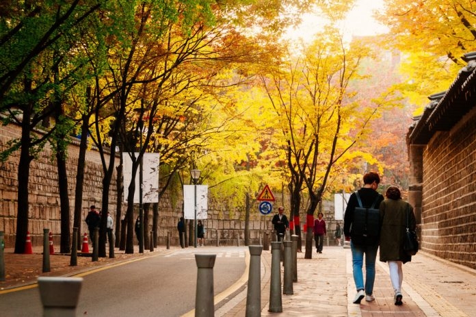 Những địa điểm ngắm lá vàng tuyệt đẹp ở Seoul - Hàn Quốc