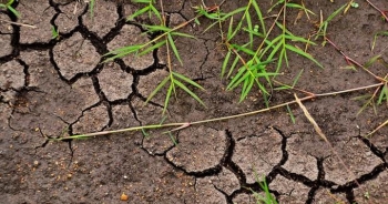 Nếu khí hậu tăng lên 2 độ C có thể giải phóng hàng tỷ tấn carbon trong đất