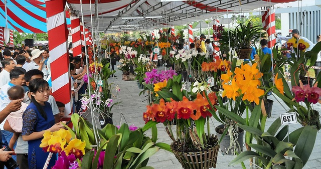Hàng ngàn chậu lan khoe sắc tại hội thi hoa lan toàn quốc năm 2020 - 1