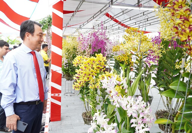 Hàng ngàn chậu lan khoe sắc tại hội thi hoa lan toàn quốc năm 2020 - 2
