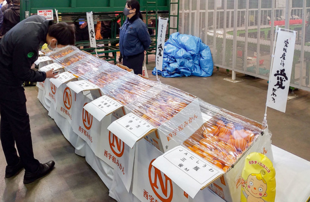 Choáng với thùng quýt Nhật Bản 20 kg được bán đấu giá hơn 200 triệu VND - 2