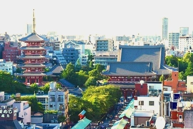 Cận cảnh đền thờ cổ kính nhất Tokyo rạng rỡ trong “lễ tưởng niệm hoa cúc” - 1