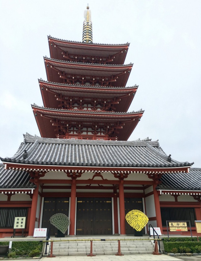 Cận cảnh đền thờ cổ kính nhất Tokyo rạng rỡ trong “lễ tưởng niệm hoa cúc” - 8