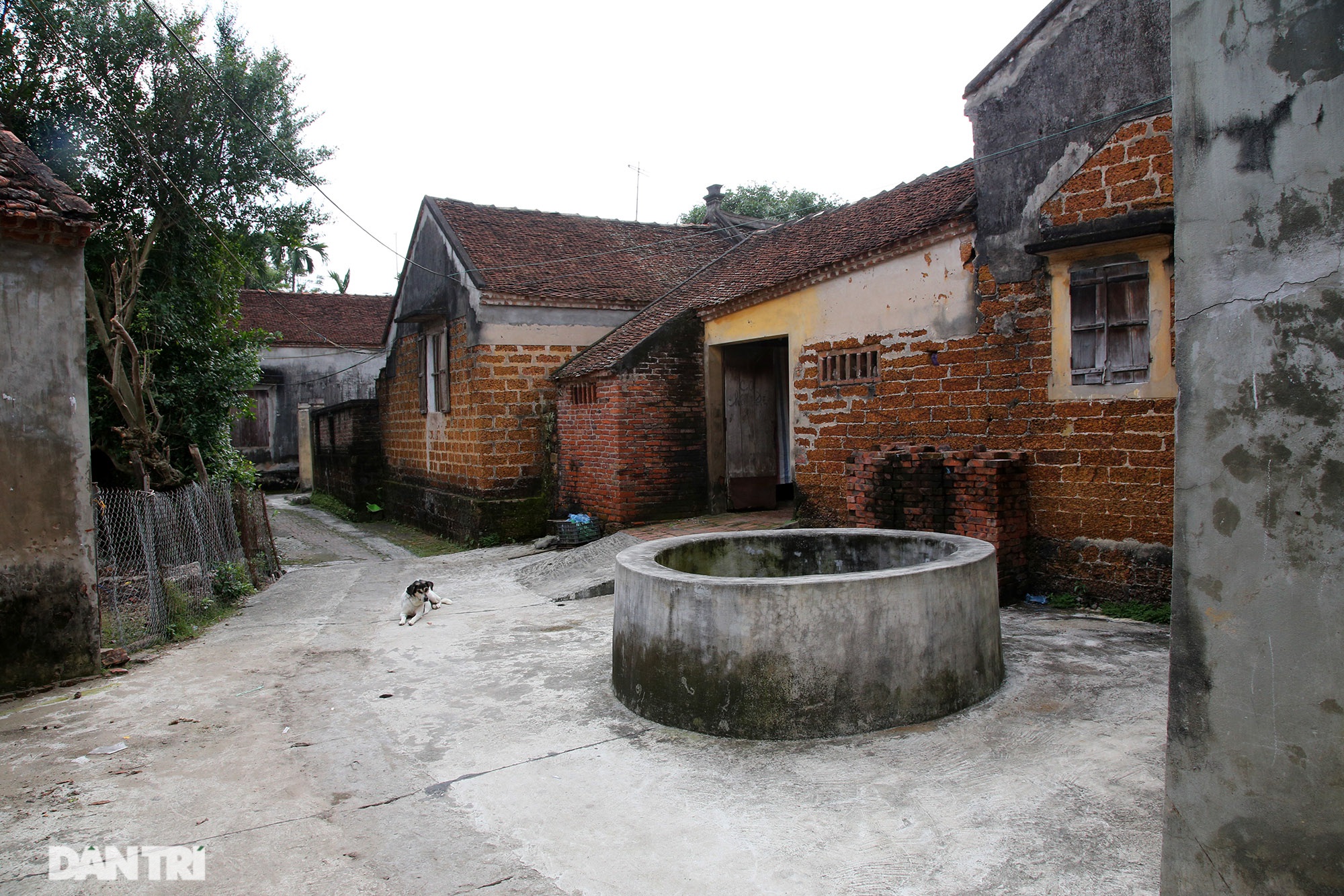 Bí ẩn 99 giếng cổ thiên tạo trong một làng ở Hà Nội - 7