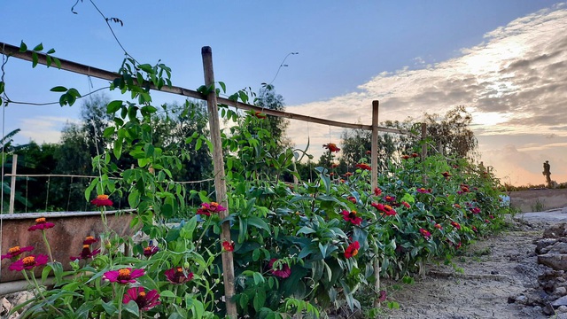 Sang Israel học trồng rau sạch, vợ chồng Việt về quê mở nông trại 6.000m2 - 10