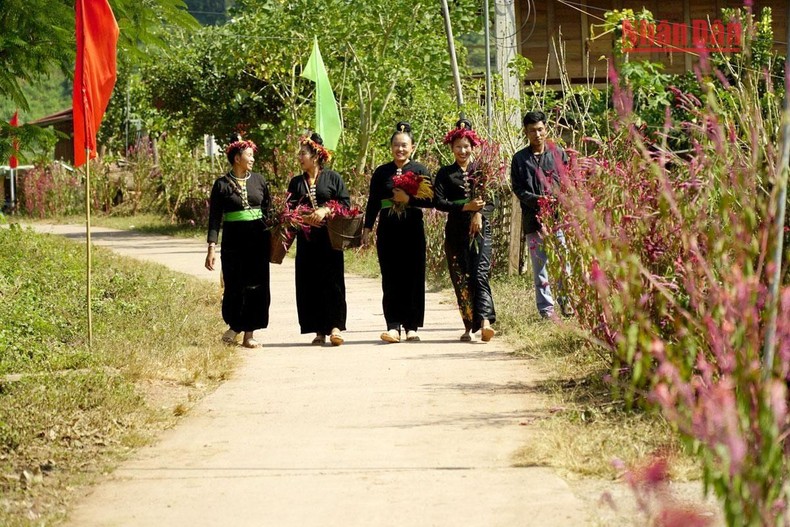 Độc đáo Tết hoa mào gà của người Cống bản Lả Chà, Điện Biên