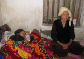 Lật xe khách ở Lào, 9 người Việt tử nạn