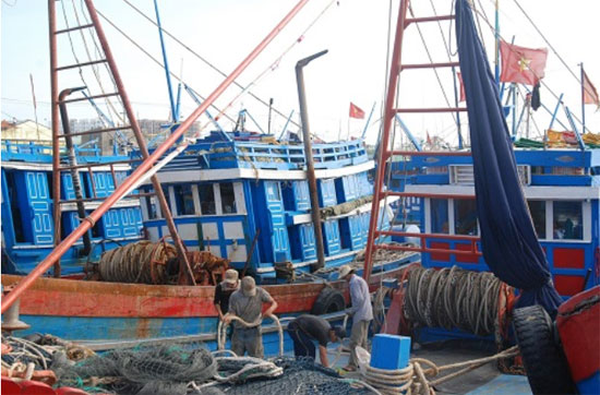 Đà Nẵng hỗ trợ ngư dân đóng mới tàu cá