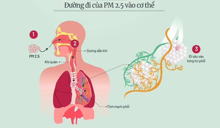 nhung dot o nhiem bui min o ha noi trong nam 2019