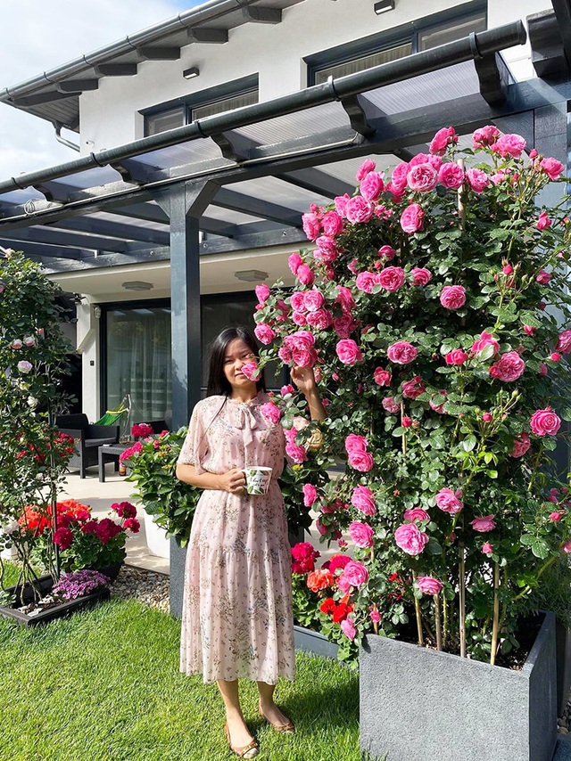 Choáng ngợp vườn hồng ngoại đẹp như cổ tích của vợ chồng Việt ở trời Tây