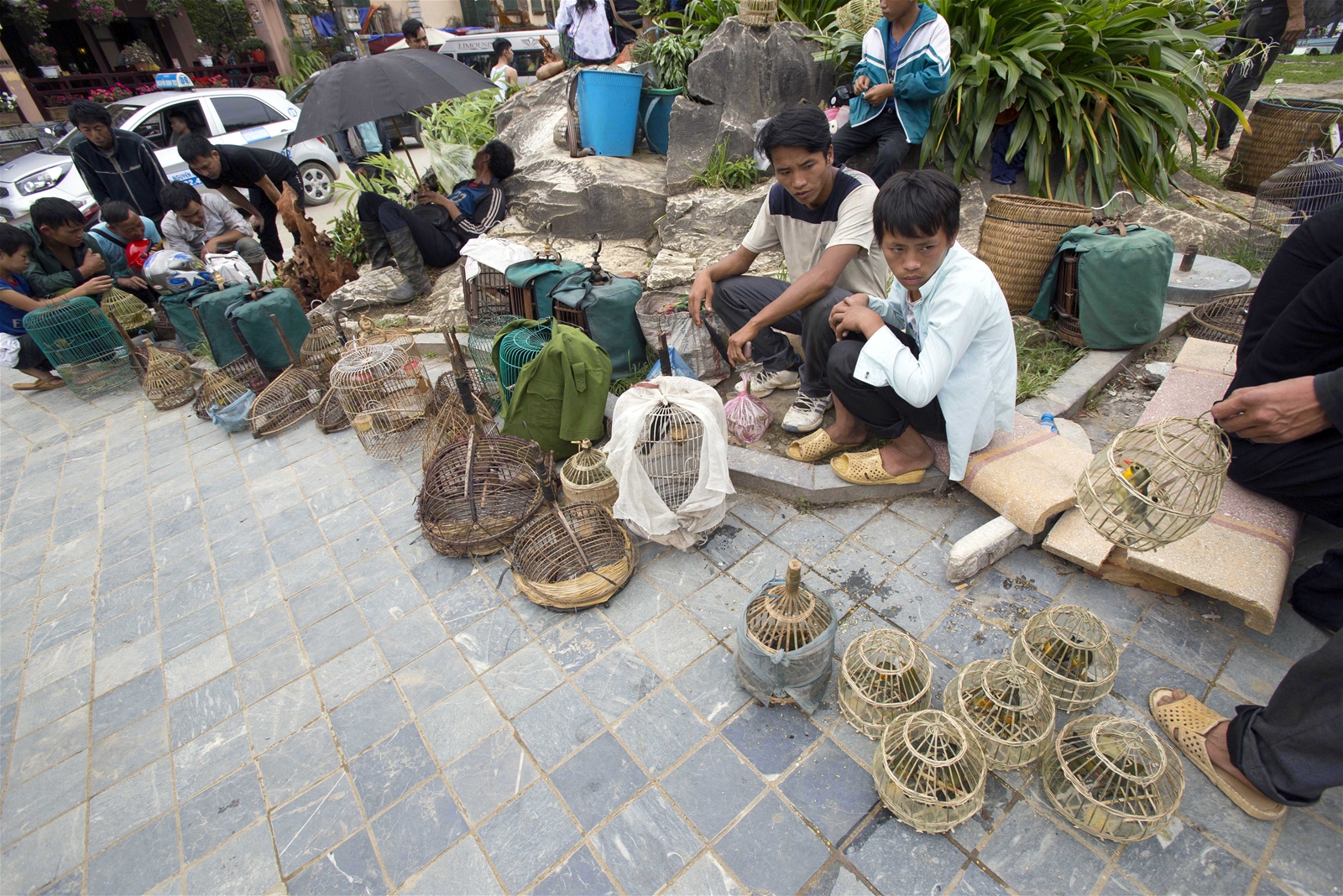 Phiên chợ của những “nghệ sĩ rừng xanh” nơi phố núi