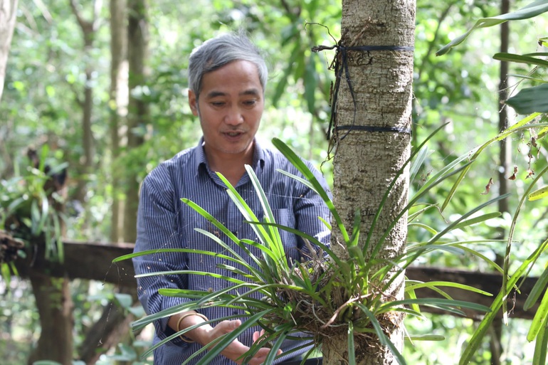 Tận mắt vườn lan rừng lớn nhất Việt Nam, với 200 loại