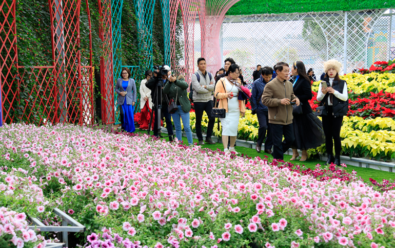 Khai mạc chương trình tham quan làng hoa Vạn Thành chào đón Festival Hoa Đà Lạt 2022