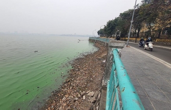 Xử lý ô nhiễm tại hồ Tây cần phải triệt để