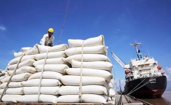 Giá gạo 5% tấm xuất khẩu của Việt Nam đạt mức cao trong tháng 3