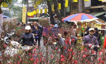 Hà Nội tổ chức 91 điểm chợ hoa xuân phục vụ Tết Nguyên đán 2023