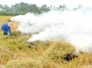 Thứ nguyên liệu ở Việt Nam thường đốt bỏ, Amazon bán 100 USD/tấn
