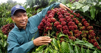 Xuất khẩu cà phê Việt Nam sẽ bứt tốc trong năm 2022?