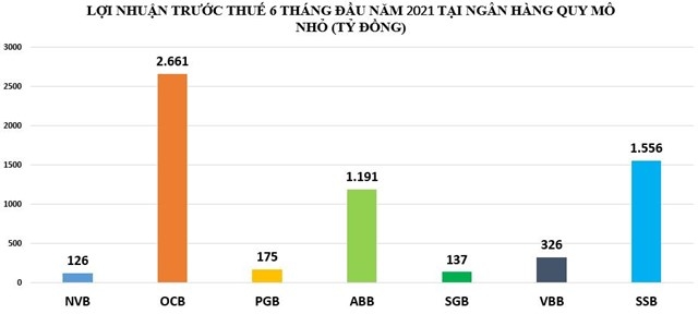 Nhờ đâu loạt ngân hàng quy mô nhỏ đạt lợi nhuận 