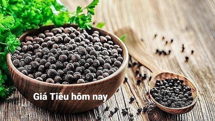 Giá tiêu hôm nay 30/7: Thị trường trong nước tăng 500 - 1.000 đồng/kg