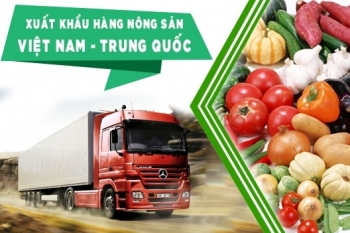 Khuyến cáo doanh nghiệp xuất khẩu nông sản qua các cửa khẩu