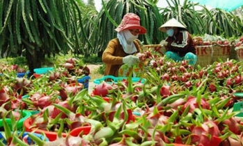 Long An hỗ trợ nông dân đưa hàng hóa, nông sản lên sàn thương mại điện tử