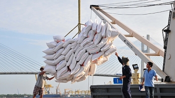 Doanh nghiệp Trung Quốc muốn nhập khẩu ngay 100.000 tấn gạo của Việt Nam