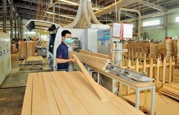 Đâu là lợi ích thực sự của ngành gỗ thông qua kênh đầu tư FDI?