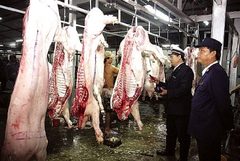Hà Nội: 96% cơ sở giết mổ gia súc, gia cầm nhỏ lẻ thuộc diện xóa bỏ
