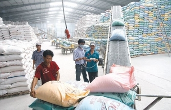 Bộ Công Thương “sốt ruột” tìm đường mở rộng thị trường xuất khẩu gạo