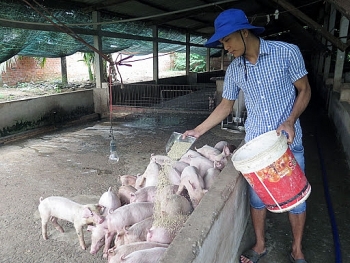 Đủ lượng cung ứng thịt lợn ra thị trường