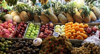 Điểm danh những trái cây Việt được “xuất ngoại” sang các thị trường "khó tính"