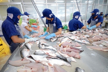 Xuất khẩu cá tra: Thị trường tăng, giảm khó lường!