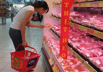 Thị trường lợn hơi không lo khan hàng, sốt giá trong thời gian tới