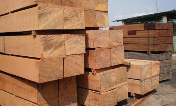 Cục Xuất nhập khẩu khuyến cáo doanh nghiệp xuất khẩu gỗ