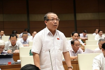 Đại biểu Quốc hội chia sẻ giải pháp đối với nông sản Việt