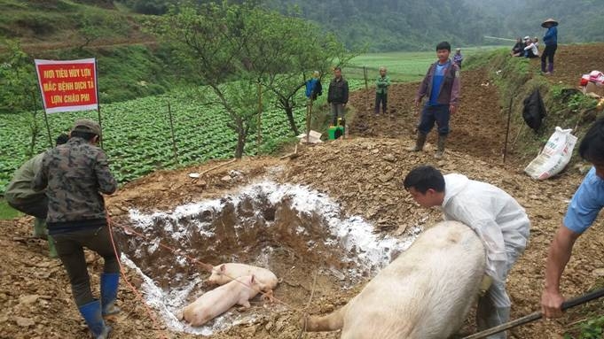 Nông nghiệp “điêu đứng” vì dịch bệnh và thời tiết bất thường