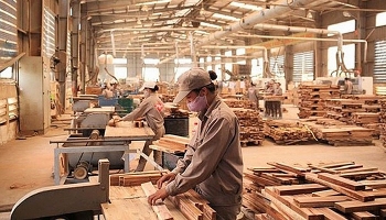 Vốn FDI “rót” vào ngành chế biến gỗ tăng đột biến
